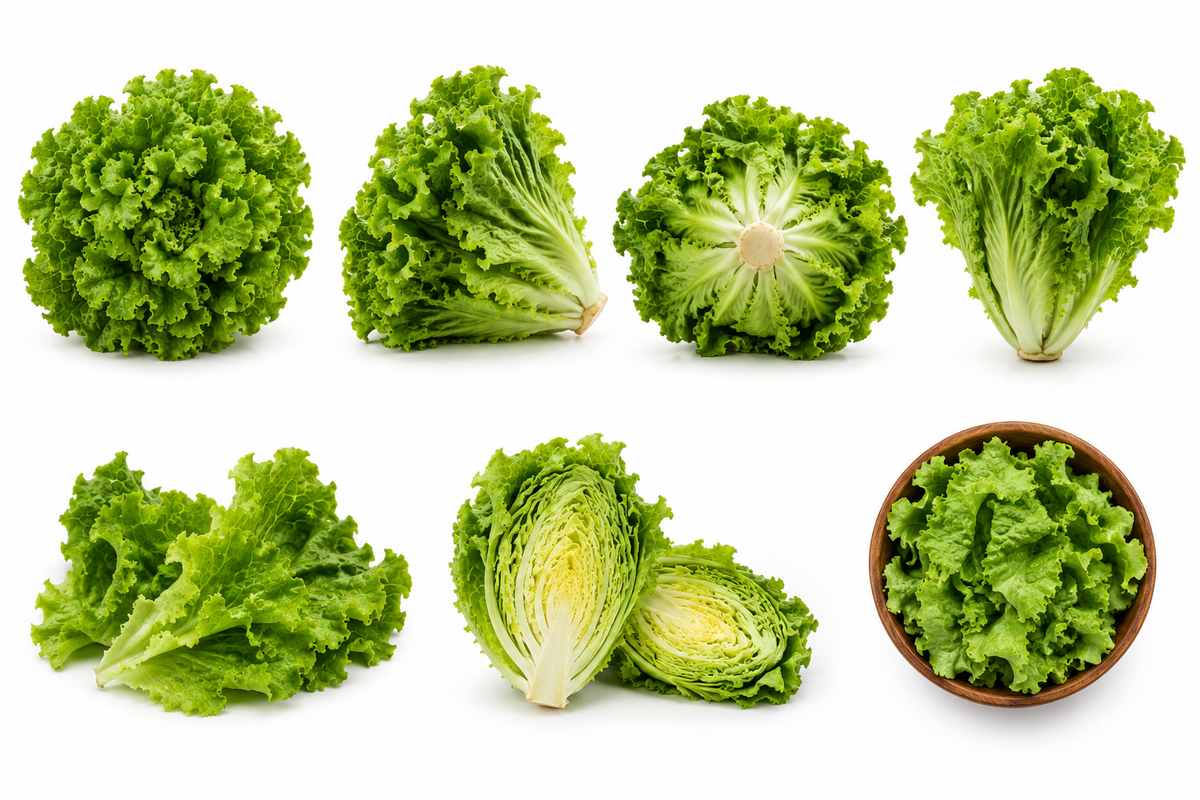 Green Lettuce