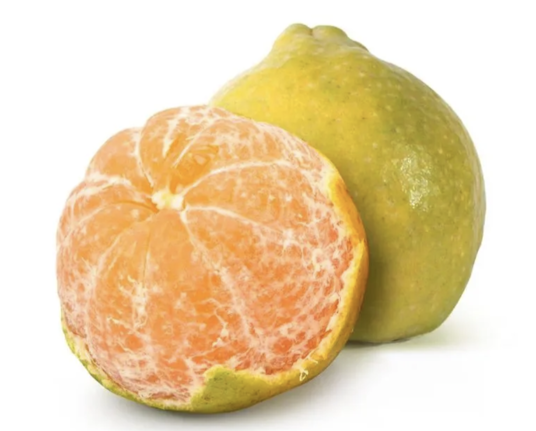 Orange (Santra)