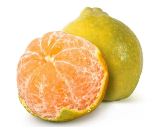 Orange (Santra)