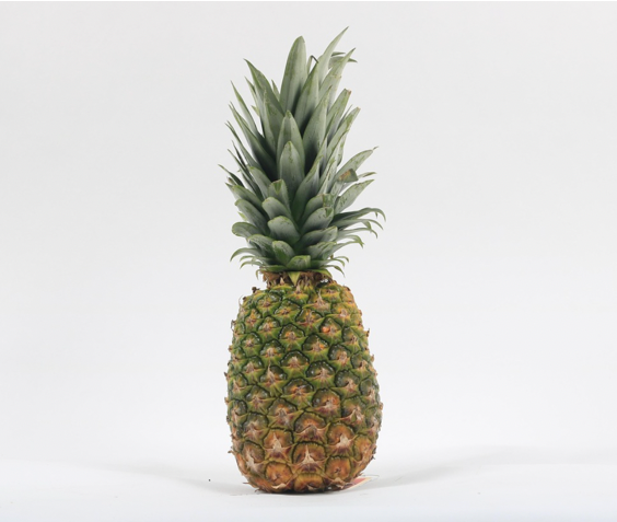 Pineapple (Ananas)